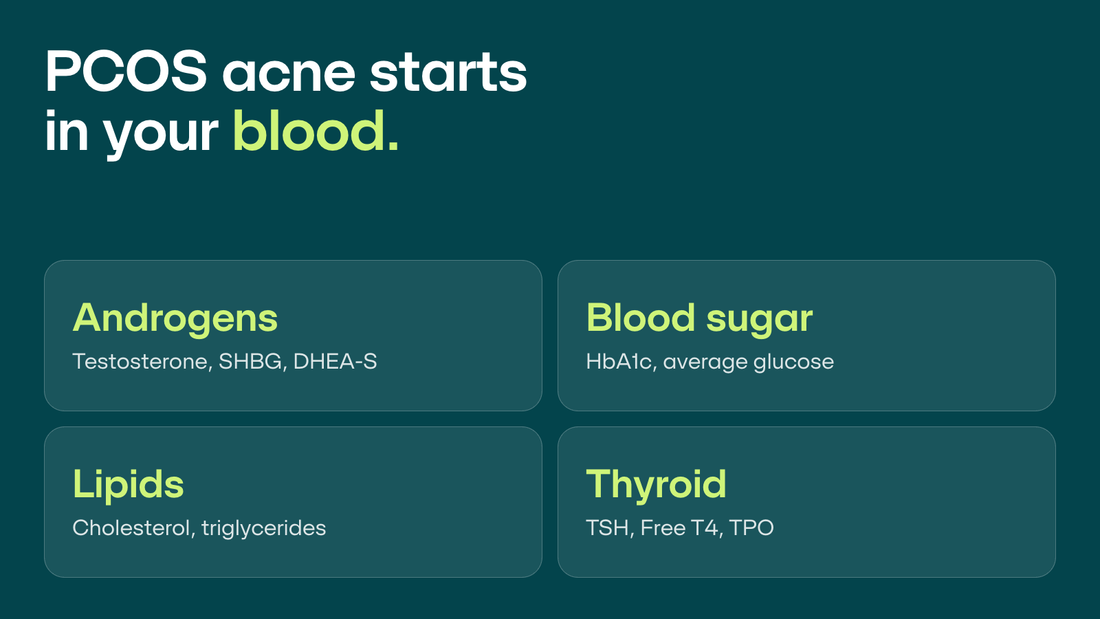 PCOS acne starts in your blood: androgens, blood sugar, lipids and thyroid