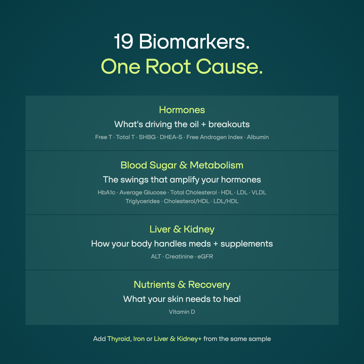 19 biomarkers across hormones, blood sugar and metabolism, liver and kidney, and nutrients