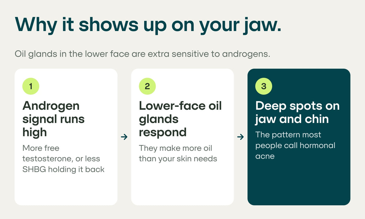 Why it's always the jaw